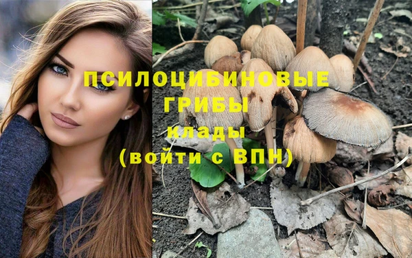марихуана Богородицк