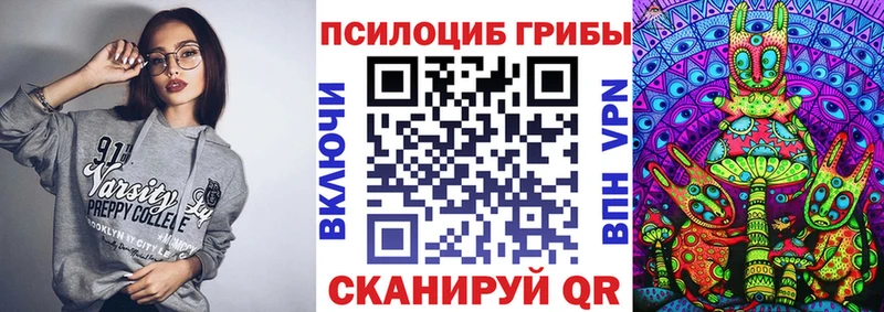 Псилоцибиновые грибы Psilocybe  Кириллов 